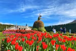 Sun World Ba Na Hills hứa hẹn hút khách dịp Tết Ất Tỵ với lễ hội hoa 2025