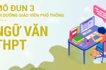 Giáo viên than Trời khi học modul 3 môn Ngữ văn