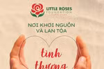 Việt Nam có thêm quỹ từ thiện mượn sức doanh nghiệp làm lợi cho cộng đồng