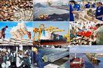 Nghị quyết phiên họp Chính phủ thường kỳ tháng 1/2019