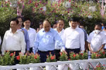 Chủ tịch nước khảo sát một số mô hình kinh tế hợp tác, hợp tác xã tại Đồng Tháp