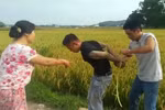 Luật rừng và rừng luật