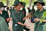 “Vườn ươm vì biển, đảo và màu xanh quê hương”