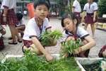 Trường Tiểu học Đông Hòa B thực hiện tốt "học đi đôi với hành"