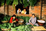 Có bao giờ ai đó hình dung mình không có quê hương chưa?