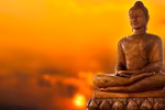 “Ta chỉ cho ngọn lửa, chúng sinh thắp đuốc mà đi”