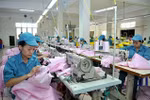 Doanh nghiệp phải công khai việc đóng Bảo hiểm xã hội, bảo hiểm y tế