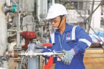 DMC thực thi đồng bộ các giải pháp để tái cấu trúc thành công