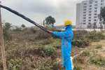 EVNNPC: Đảm bảo kinh doanh và dịch vụ khách hàng ứng phó với dịch bệnh Covid-19