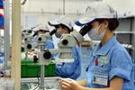 Câu hỏi thường gặp về giảm mức đóng bảo hiểm tai nạn lao động, bệnh nghề nghiệp