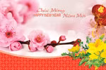 Chào xuân Đinh Dậu