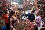 Những chuyện buồn đã qua...
