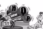 Cán bộ, giáo viên rất chán ghét báo cáo, họp hành nhiều