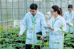Tốt nghiệp ngành Nông nghiệp công nghệ cao có thể làm những công việc gì?