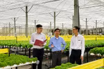 Agribank điều chỉnh giảm lãi suất đối với toàn bộ dư nợ hiện hữu của khách hàng 