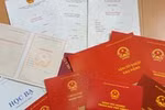Chuyện ông nọ, bà kia và tản mạn về bằng thật, bằng giả!