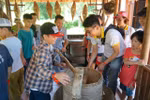 Học sinh khuyết tật Thuỵ An trải nghiệm "Nông trại vui vẻ"