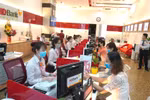 HDBank tài trợ gần 3 tỷ đồng chống xâm lấn hạn mặn ở Đồng bằng Sông Cửu Long