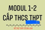 Giáo viên học thuê, làm bài thu hoạch thuê các module, nghề mới hái ra tiền
