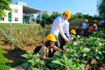 Những nỗ lực bảo vệ môi trường tại Ajinomoto Việt Nam