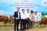 FrieslandCampina Việt Nam tặng bò cho các hộ nông dân tại tỉnh Long An