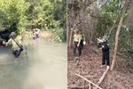 Có mã ngành Kiểm lâm sẽ giúp đội ngũ kiểm lâm chuyên nghiệp hóa, chuyên môn hóa