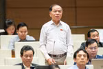 ĐB Lê Thanh Vân: Cần mạnh dạn thực hiện “khoán” biên chế theo công việc