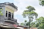 Rợn người lá thư của kẻ lên kế hoạch “khử” gia đình vợ 