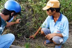 Truy bắt kẻ đào trộm mồ mả… làm tỷ phú 