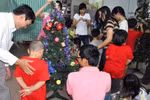Coi chừng mắc bệnh từ cây thông Noel