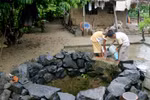Đảo của đảo