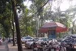 Hà Nội nhăm nhe “xẻ thịt” Công viên Thống Nhất
