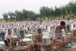 Không coi ngoại cảm là phương pháp xác định danh tính liệt sĩ