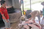 60% mẫu thịt không đảm bảo an toàn vệ sinh thực phẩm