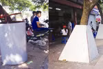 Vờ ôm nhau dưới gốc cây để cưa trộm sưa
