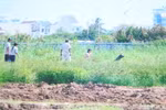 Vụ khỏa thân cản trở thi công: Làm rõ vi phạm những người liên quan