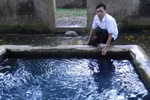 Truyền kỳ về đôi giếng thiêng và chuyện rắn trả ơn người