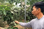 Hòa Phát nói không gây ô nhiễm, người dân nói bị khói bụi bủa vây