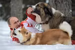 Ảnh: Putin chơi đùa trong tuyết với chó cưng