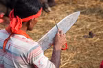 Ảnh: Thảm sát gia súc trong lễ hội tôn giáo ở Nepal 