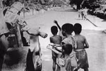Hà Lan sẽ phải đền bù cho nạn nhân bị thảm sát tại Indonesia