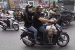 Toàn cảnh thị trường xe máy VN "không mấy sáng sủa" lên báo nước ngoài