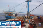 Sóng dậy Biển Đông và 8 ngày đi biển cùng ngư dân xứ Nghệ (Kỳ 4)