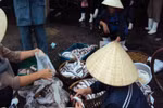 Nhịp sống ngư dân ở cảng cá Lạch Bạng (Thanh Hóa)