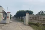 Bị tố bằng TN bổ túc TH, chưa tìm thấy dữ liệu, chủ nhiệm CLB bơi lội nói gì?