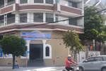 THPT Đông Á tuyển sinh ở cơ sở chưa cấp phép: Sở GD TPHCM làm việc với trường