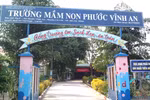 Vụ nguyên GV Mầm non Phước Vĩnh An kiện HT: Nhiều tình tiết cần xác minh thêm