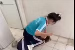 Kiên Giang: Nữ sinh túm tóc, đánh bạn trong nhà vệ sinh bị dừng học 2 tuần