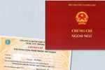 Dùng chứng chỉ giả, 3 người bị hủy kết quả trúng tuyển viên chức ngành giáo dục