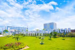 Chuyển Trường Đại học Kinh tế TP.HCM thành Đại học Kinh tế TP.HCM